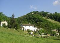 Spring - The House in a Sea of Green